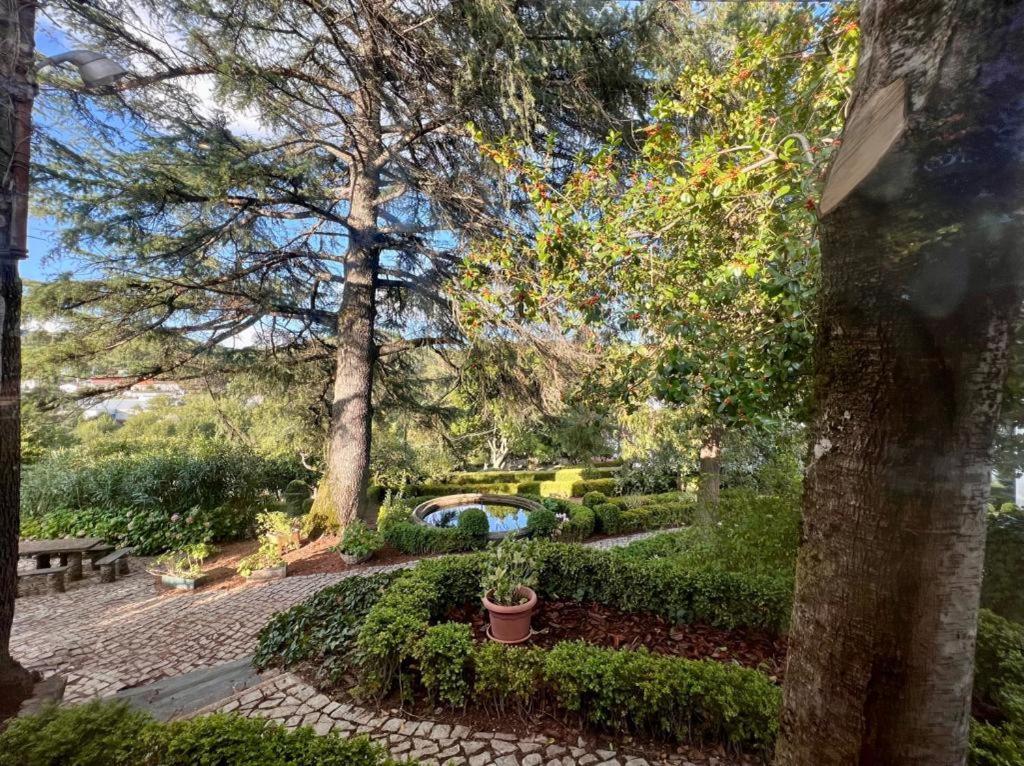 Casa Fundeira - Quinta Dos Esconhais Каштаньейра-ди-Пера Экстерьер фото